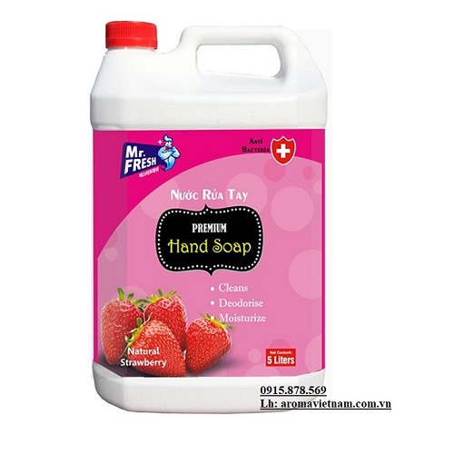 Nước rửa tay Mr Fresh 5L Dâu